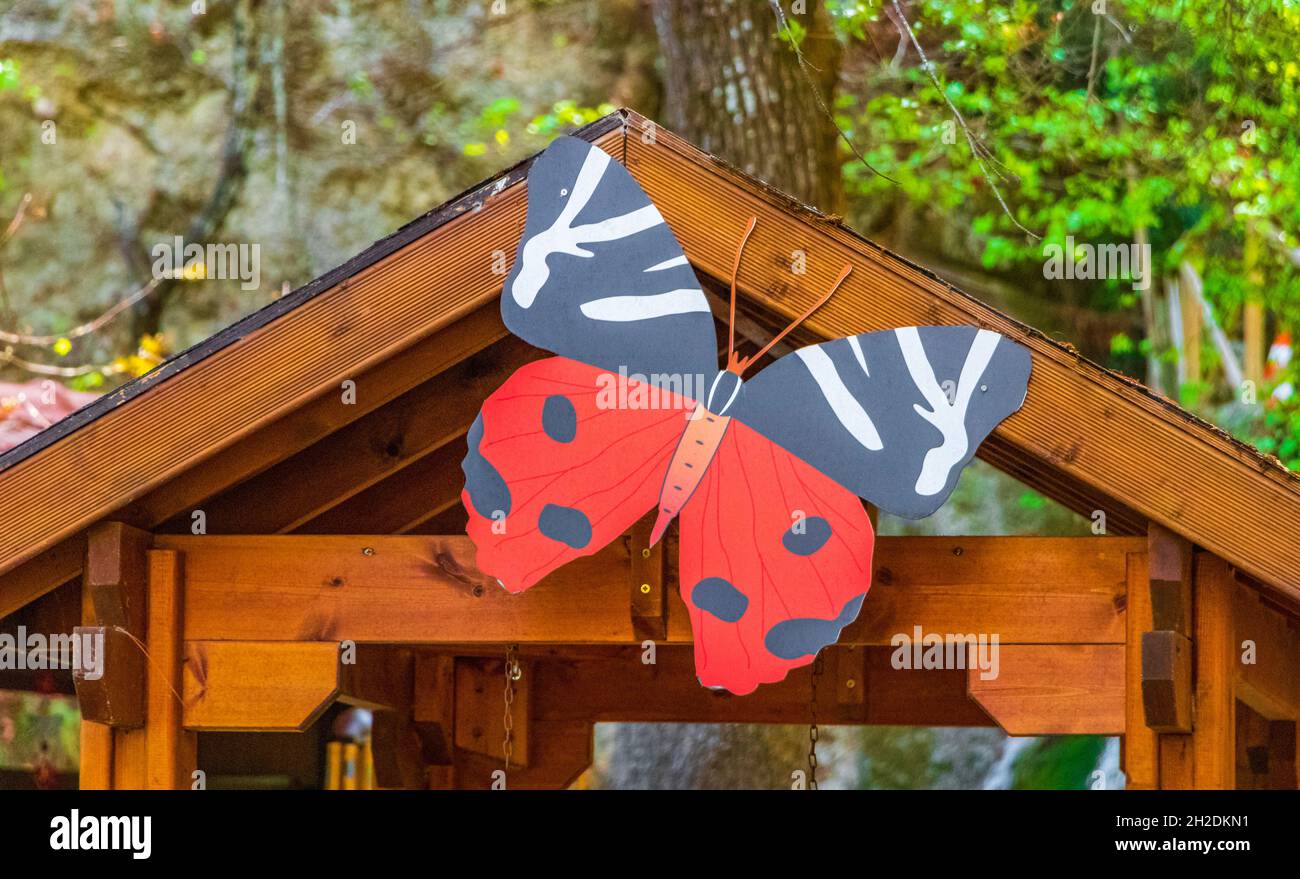 Red russian bear butterfly in the beautiful nature of Butterflies Butterfly Valley Park on