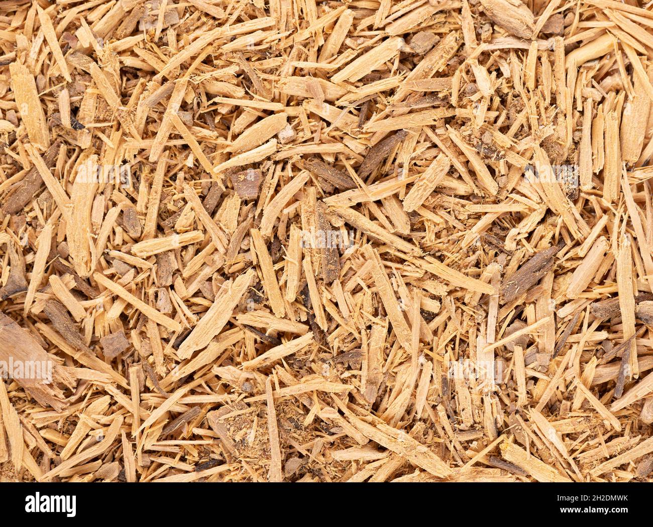 Muira Puama herbal tea background. Natural potency wood, medicinal