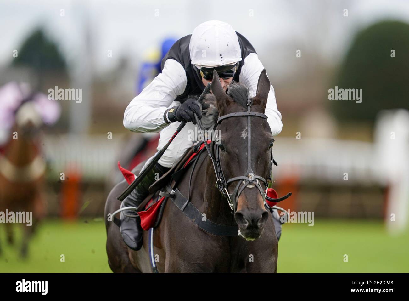 File photo dated 26-12-2020 of Harry Skelton riding Third Time Lucki clear the last to win The Get Your Ladbrokes 1 Free Bet Novices' Hurdle during King George VI Chase Day of the Ladbrokes Christmas Festival at Kempton Park Racecourse, Sunbury-on-Thames. Dan Skelton is looking forward to giving Third Time Lucki his debut over fences in the squareintheair.com Novices' Chase at Cheltenham on Friday. Issue date: Thursday October 21, 2021. Stock Photo