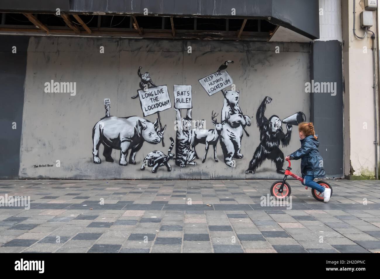 Glasgow, Scotland, UK. 21st Oct, 2021. Wall artwork by The Rebel Bear. Credit: Skully/Alamy Live News Stock Photo