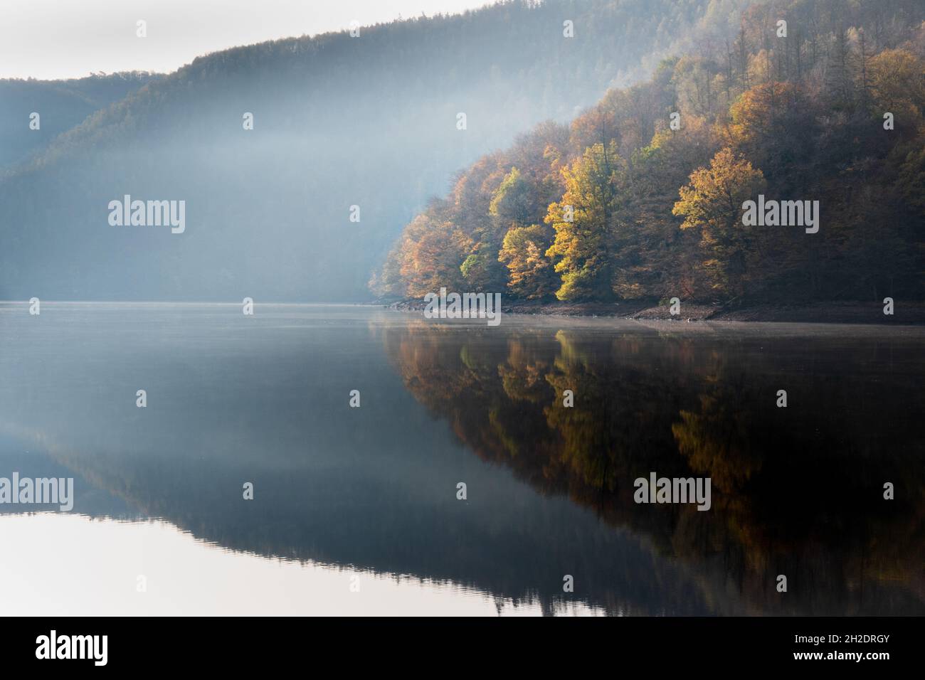 Lake in the morning mist Stock Photo - Alamy