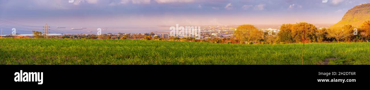 panorama of sugarcane field and the mountains Stock Photo