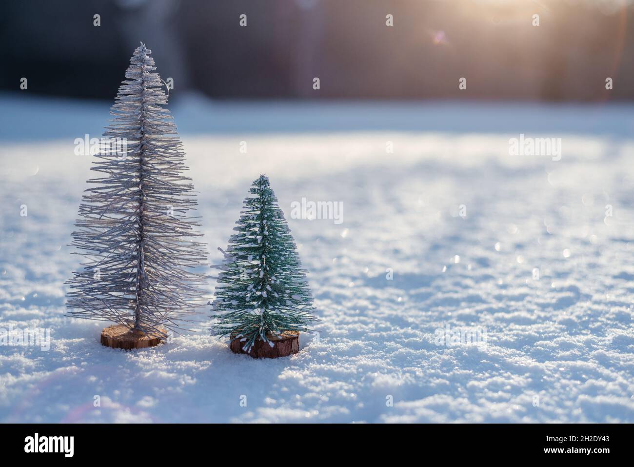 Snow trees banner hi-res stock photography and images - Alamy
