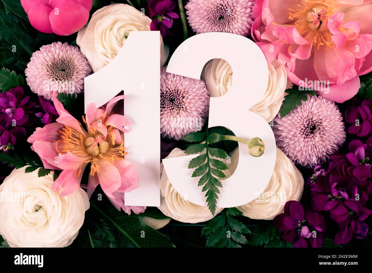 Layout with colorful flowers, leaves and number thirteen. Chrysanthemum Momoko, Peony, Matthiola, Ranunculus flowers background. Greeting card. Trendy Stock Photo