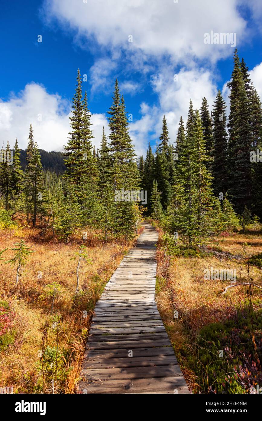 Hiking trail outdoors in Canadian nature. Sunny Fall Season Stock Photo ...