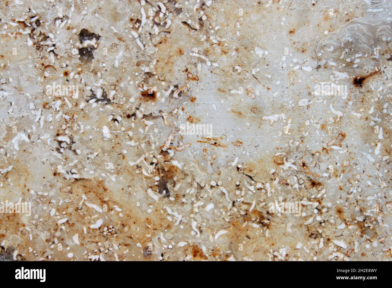 unevenly textured surface of a marbled stone tile Stock Photo