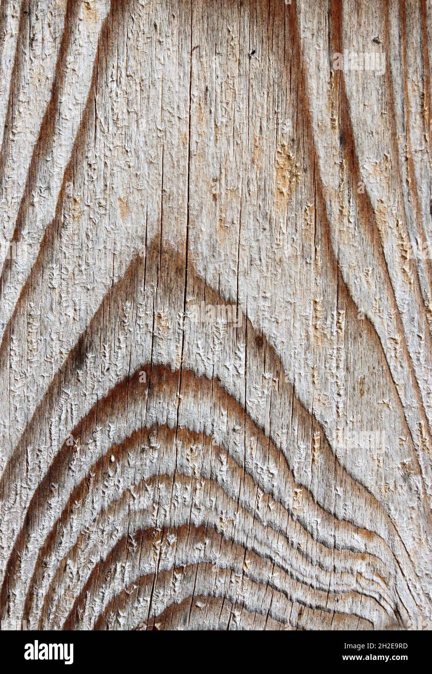 light wood with interesting grain Stock Photo