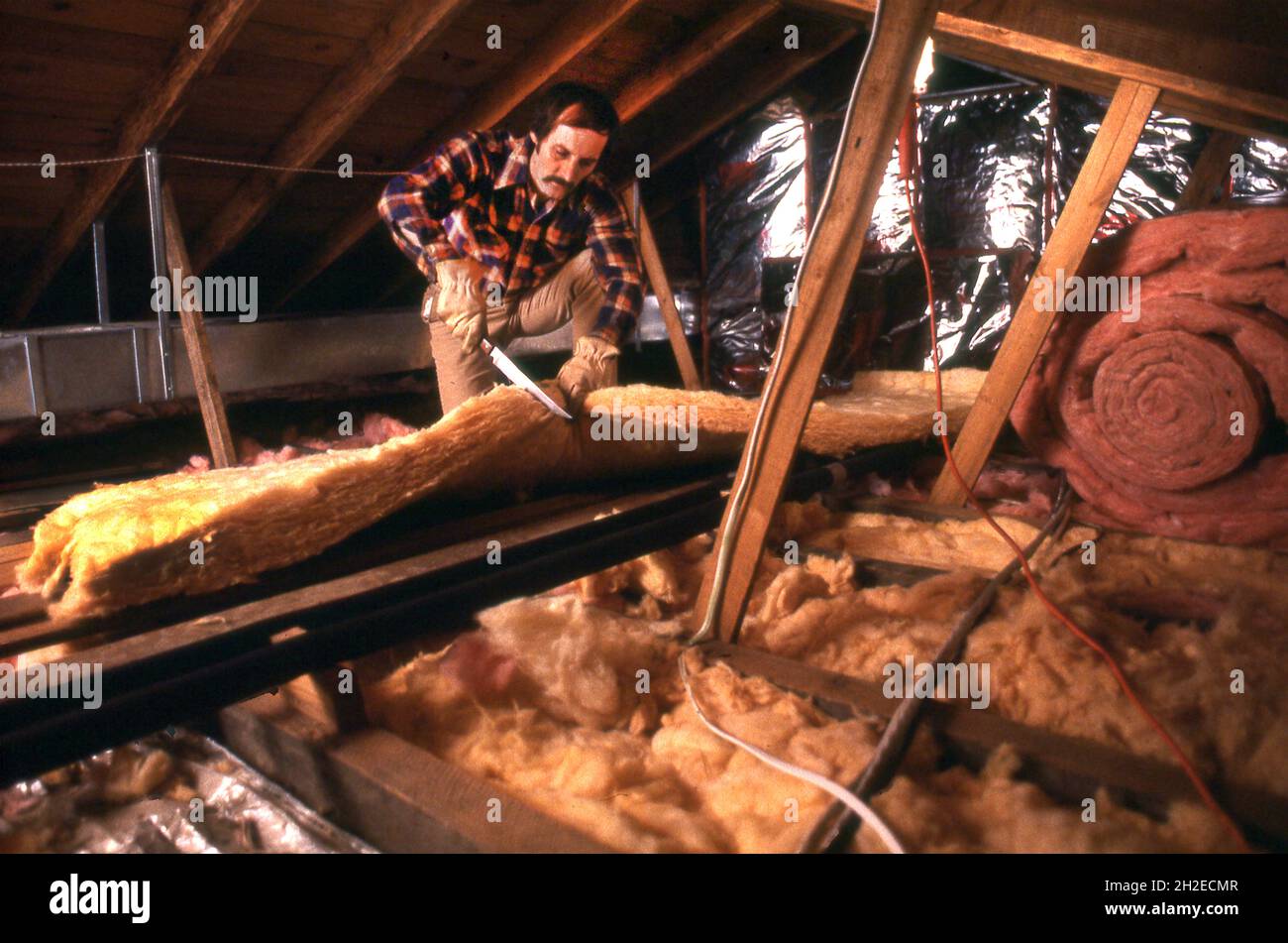 Home insulation in the 1980's Photograph by Dennis Brack BB79 Stock