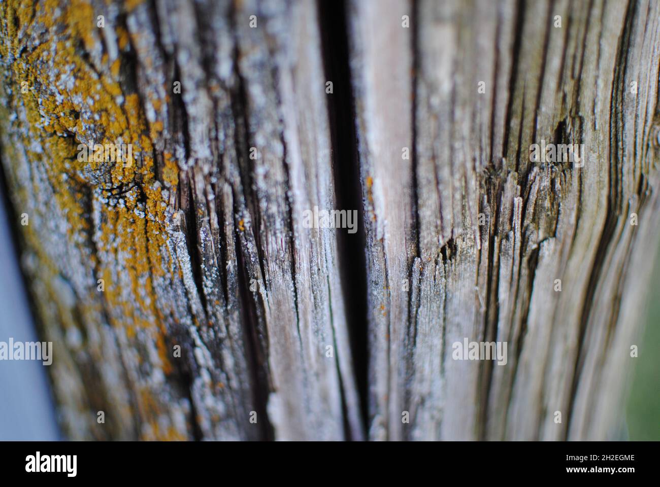 Pole with cracks hi-res stock photography and images - Alamy