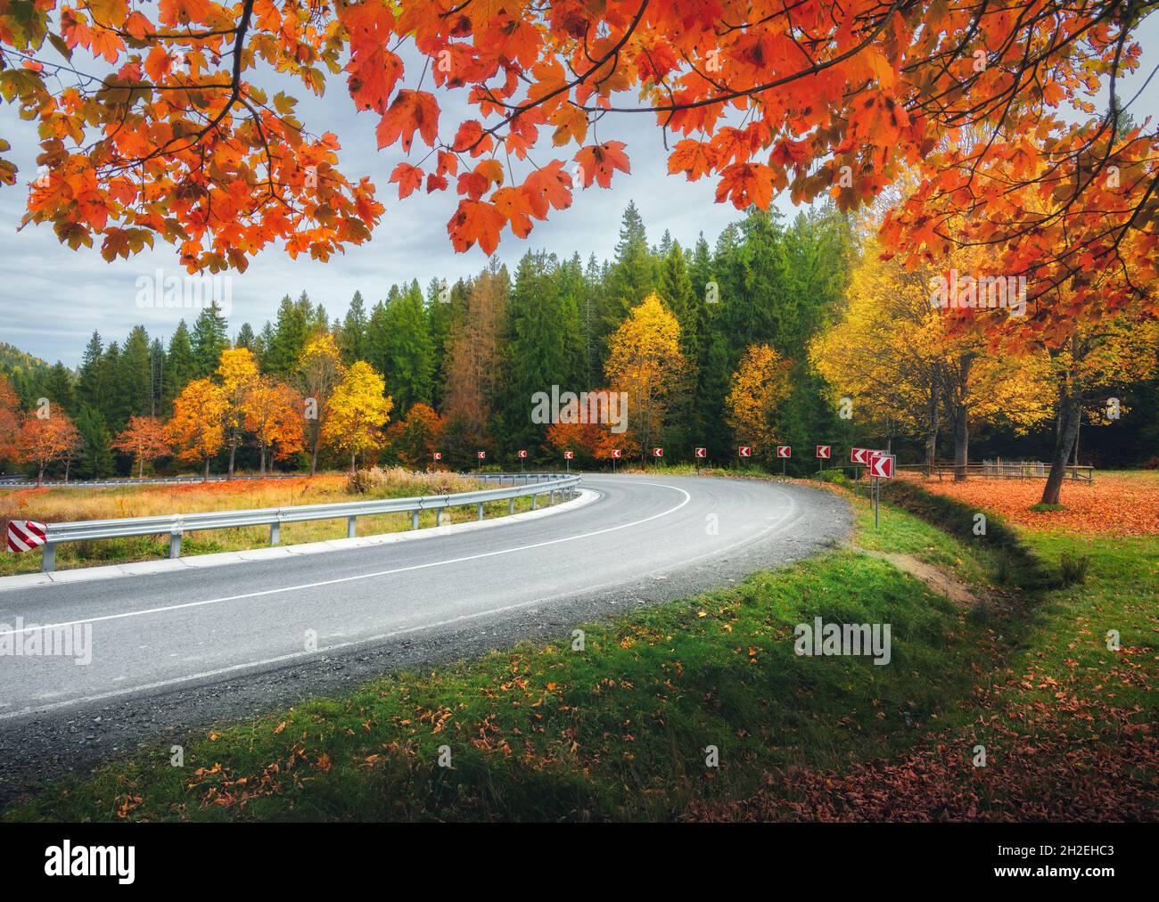 Road in autumn forest. Beautiful empty mountain roadway Stock Photo