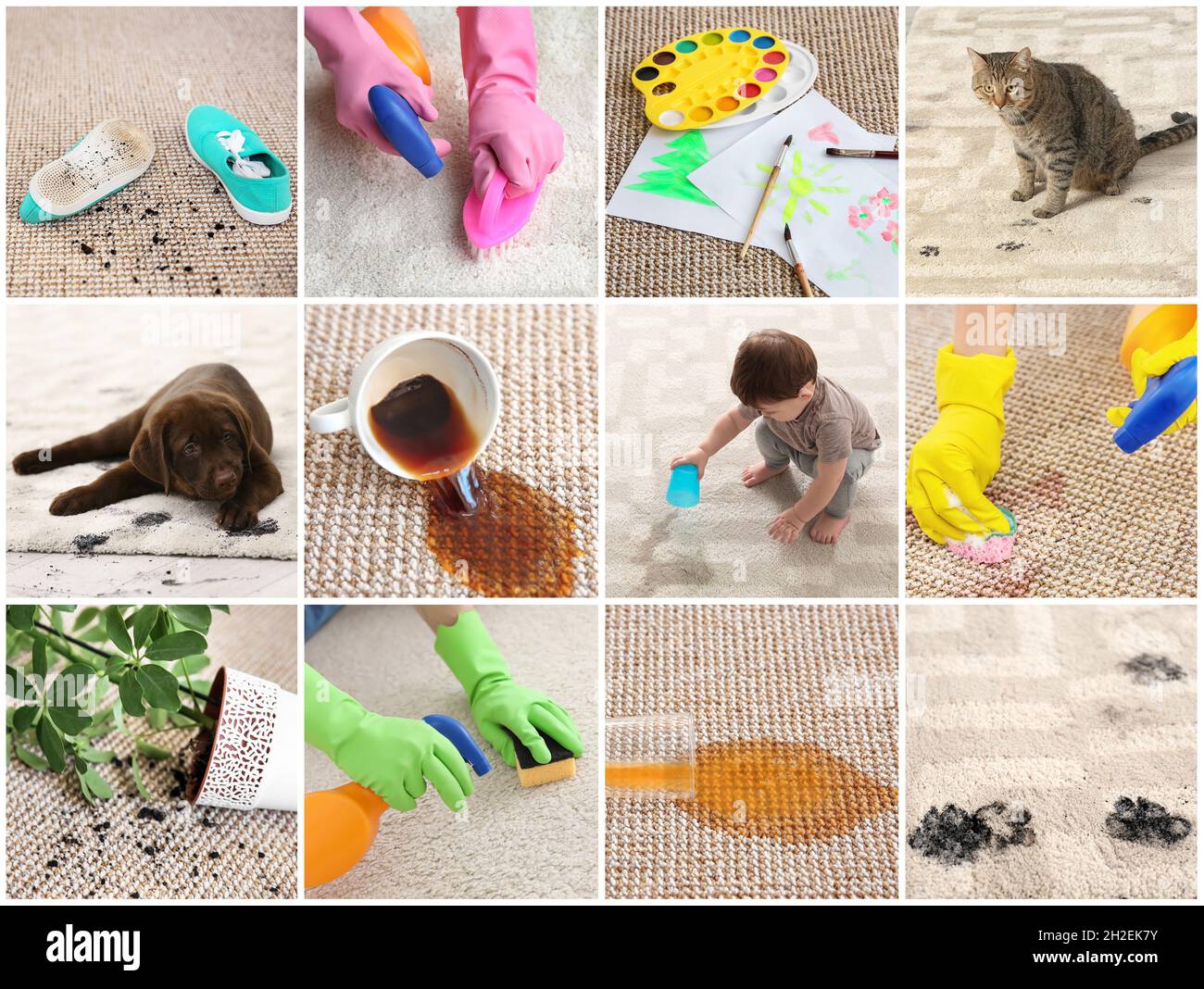 Set with different types of dirt on carpets. Cleaning concept Stock