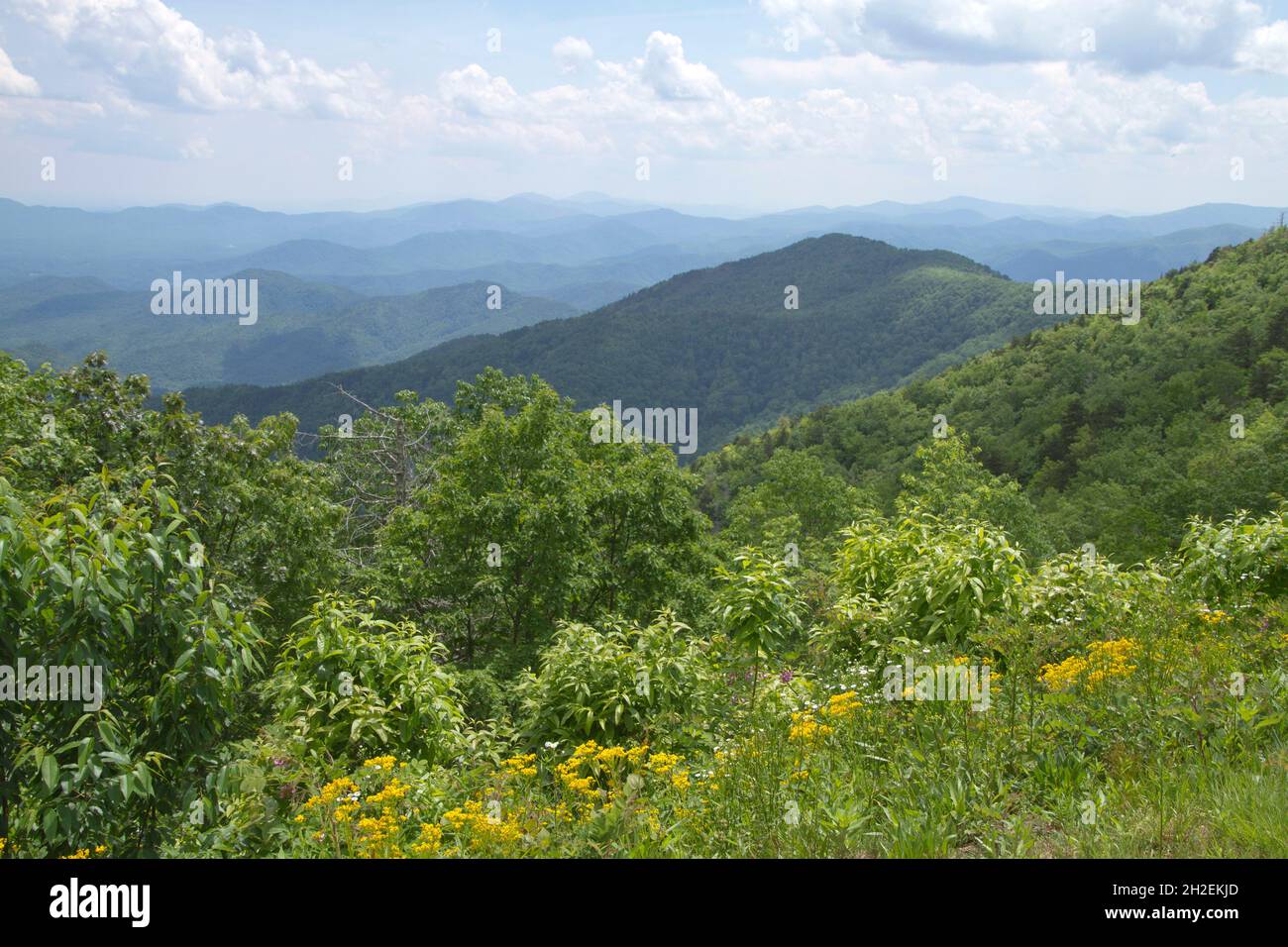 View of the beautiful, scenic Appalachian Mountains and lush vegetaion Stock Photo