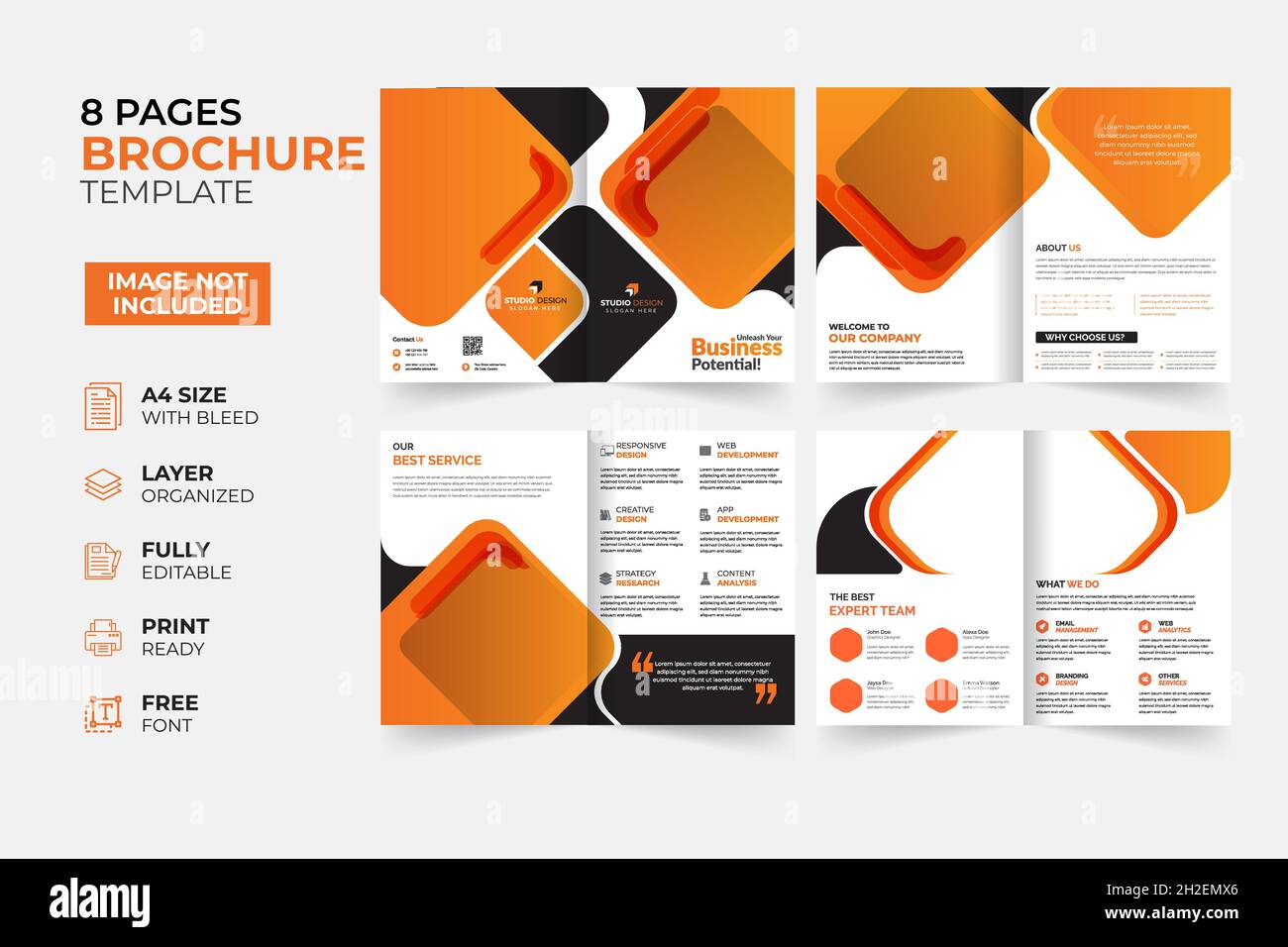 Modern & Creative Bifold Trifold Annual report Brochure Template Stock Vector