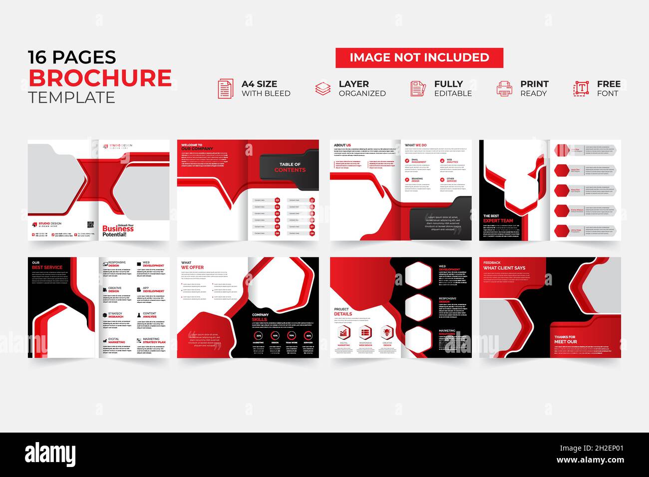 Modern & Creative Bifold Trifold Annual report Brochure Template Stock Vector