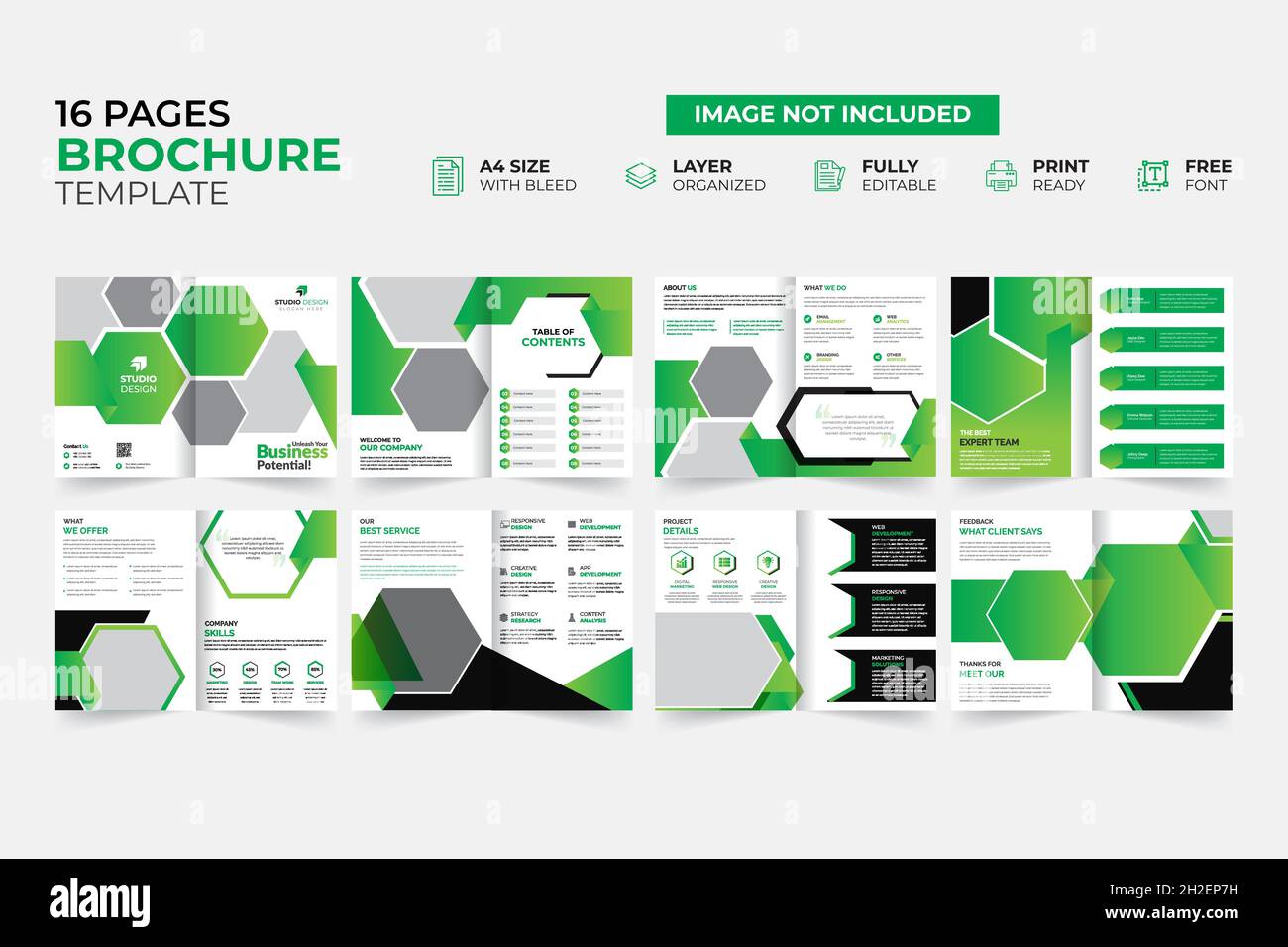 Modern & Creative Bifold Trifold Annual report Brochure Template Stock Vector