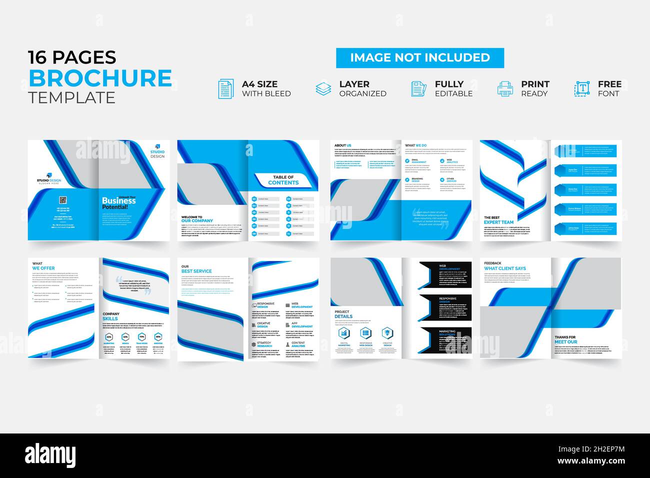 Modern & Creative Bifold Trifold Annual report Brochure Template Stock Vector