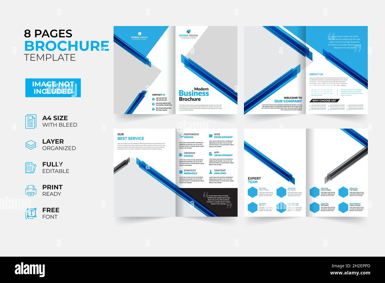 Modern & Creative Bifold Trifold Annual report Brochure Template Stock Vector