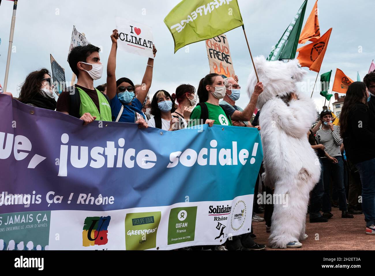 Crowd of protester at the Climate Change Protest in Lyon France Stock Photo