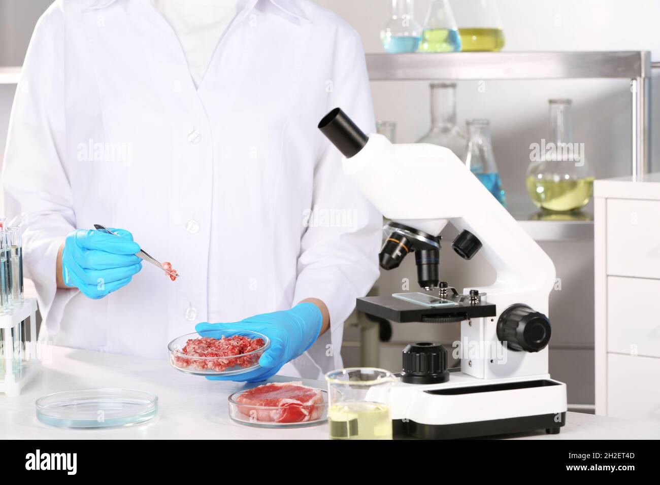 Scientist holding Petri dish with forcemeat over table in laboratory