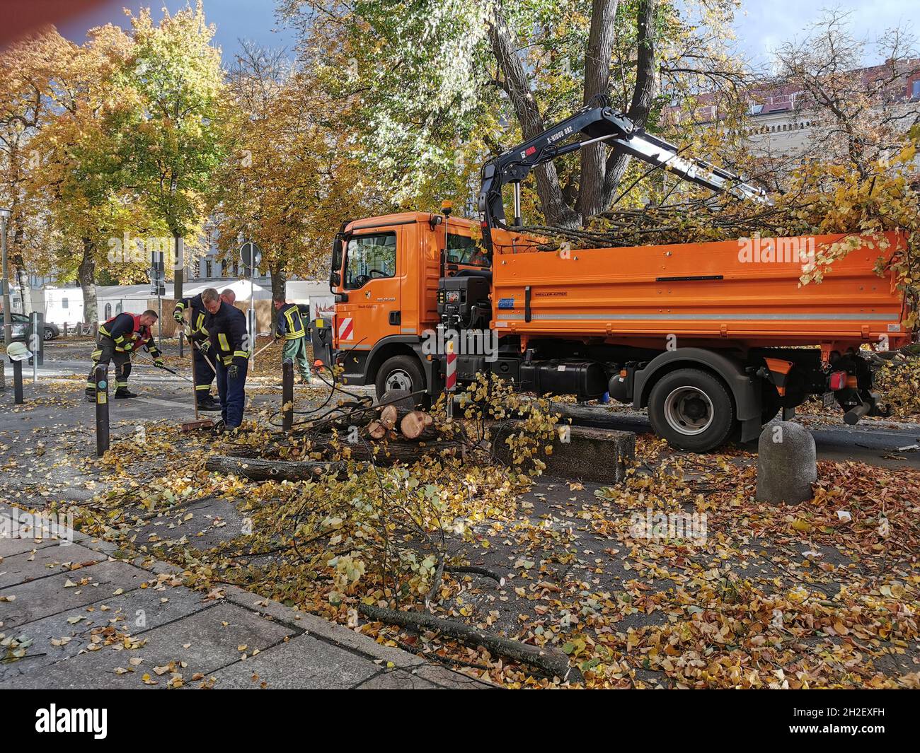 Sturmschäden durch Sturmtief Ignatz in Görlitz 21.10.2021 Stock Photo