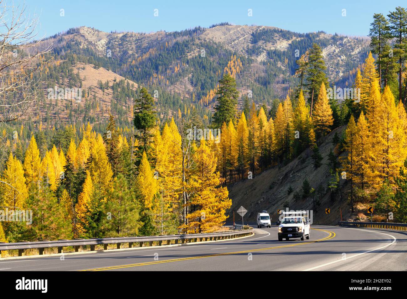 Blewett Pass, WA, USA - October 19, 2021; Southbound traffic approaches the summit of Blewett Pass with trees of fall yellow on hillsides Stock Photo