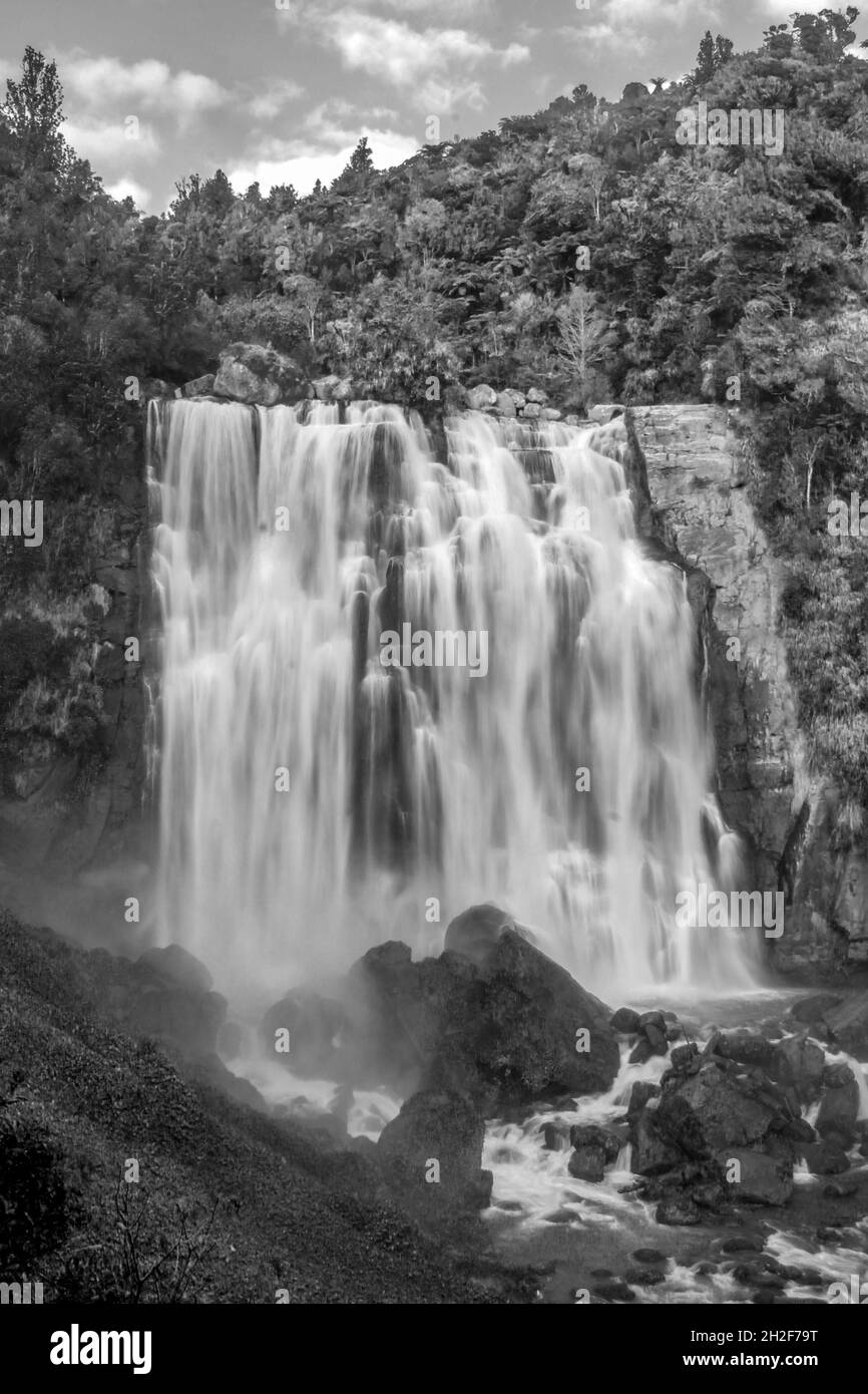 Vertical monochrome shot of foamy Marokopa Falls in New Zealand Stock Photo