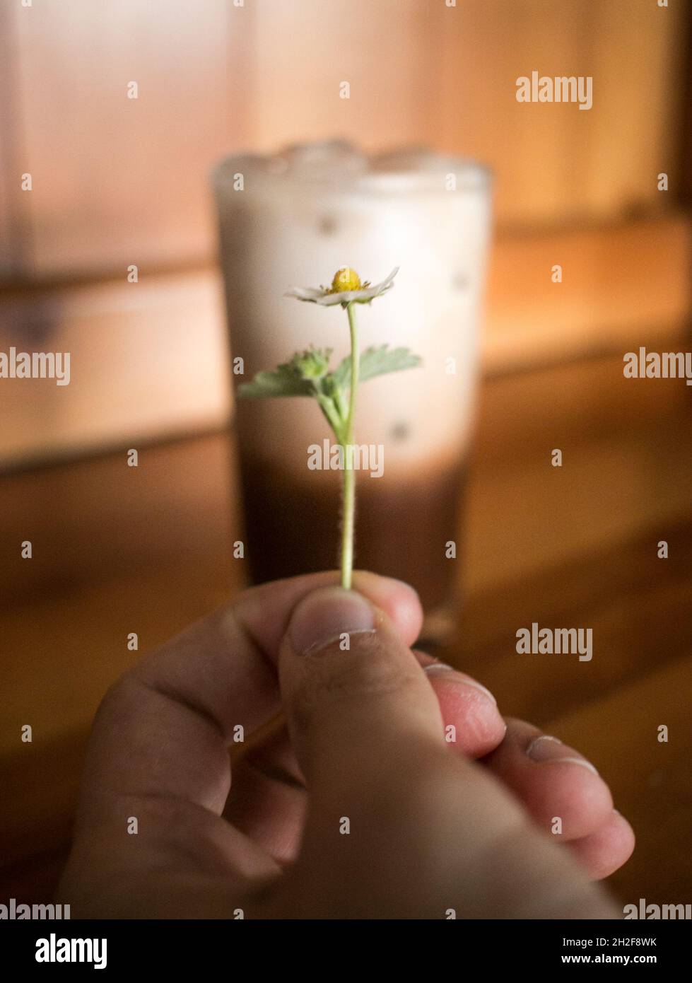 Delicious unfocused iced coffee on brown wooden table, decorated with leaves, chocolate and wild strawberries Stock Photo