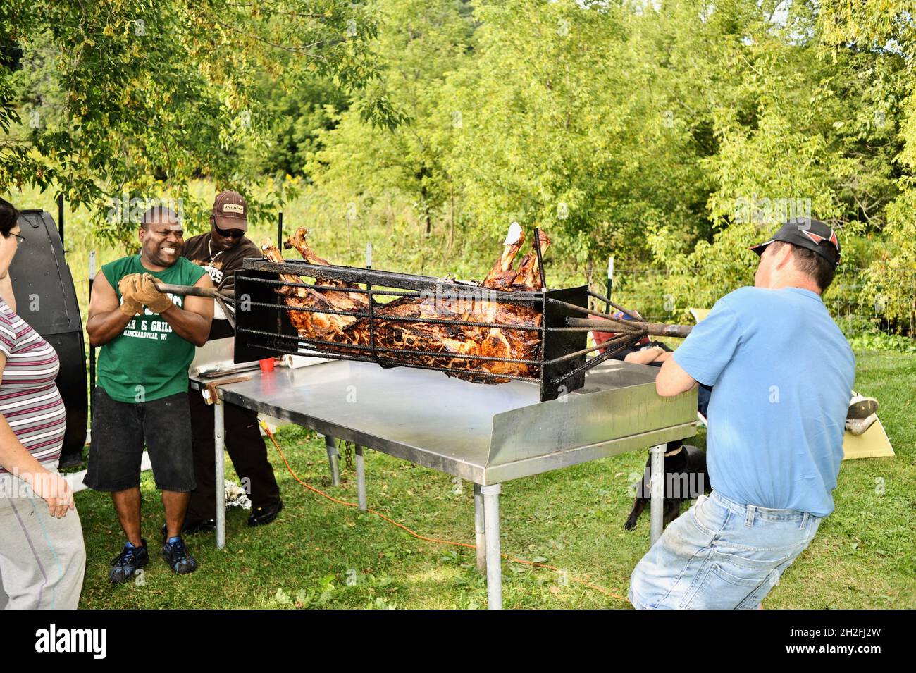 Moving the heavy spit-roasted whole pig hog to preparation table outside, on a Midwestern farm, Blanchardville, Wisconsin, USA Stock Photo