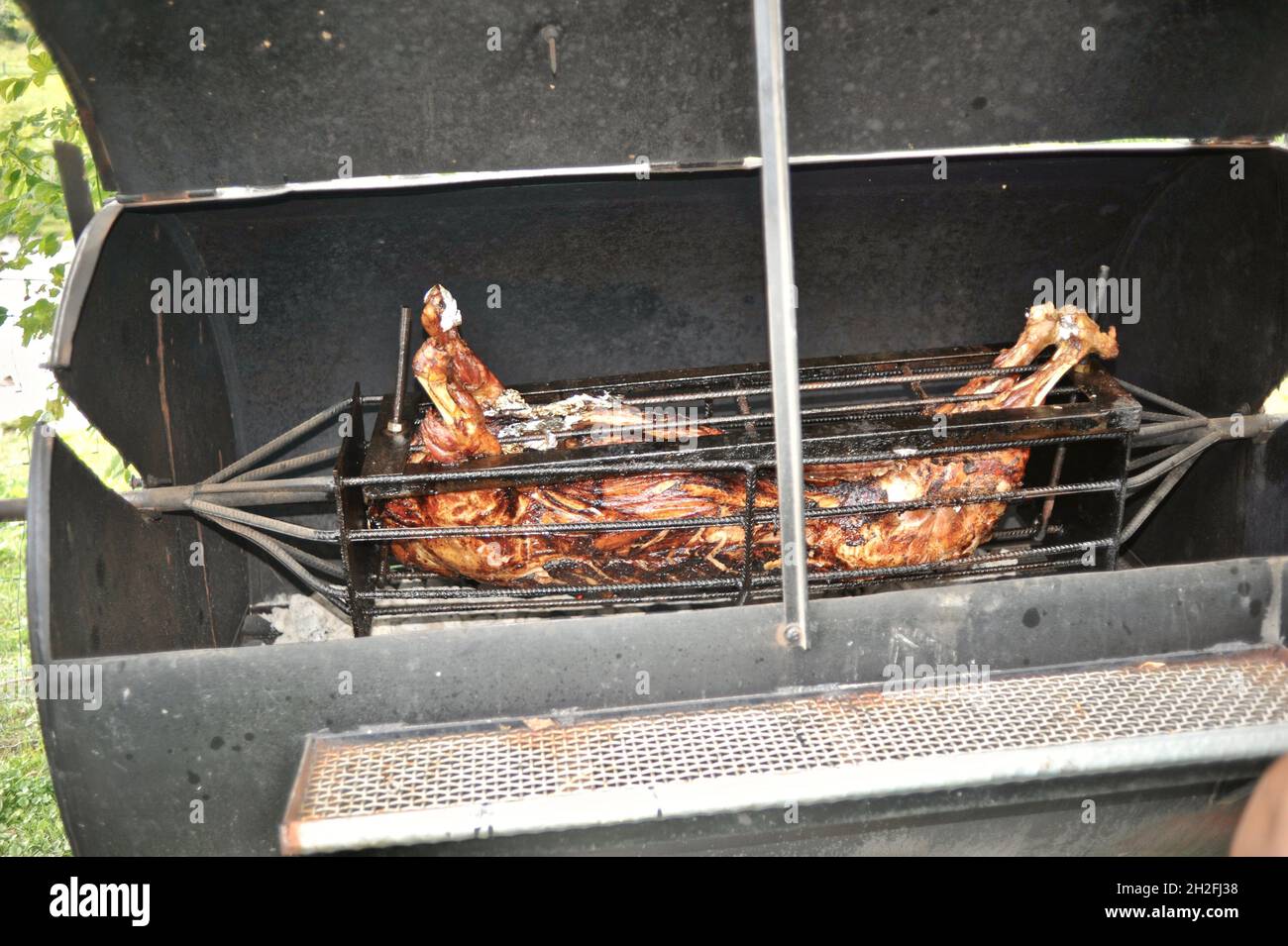 Whole spit-roasted pig hog on a charcoal-fired grill outside, on a Midwestern farm, Blanchardville, Wisconsin, USA Stock Photo