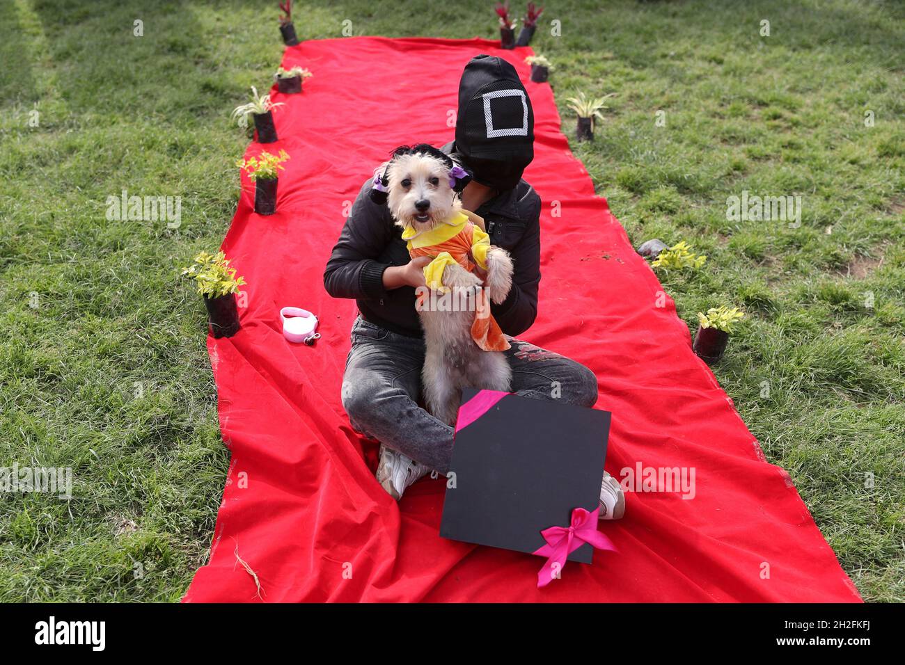 Human costume contest hires stock photography and images Alamy