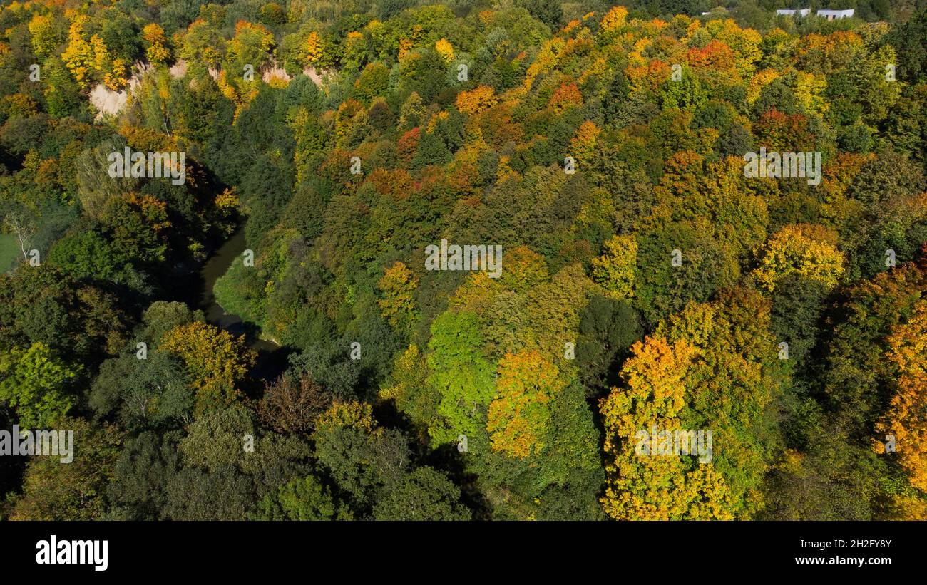Bird's eye view of a dense forest with colorful trees Stock Photo - Alamy