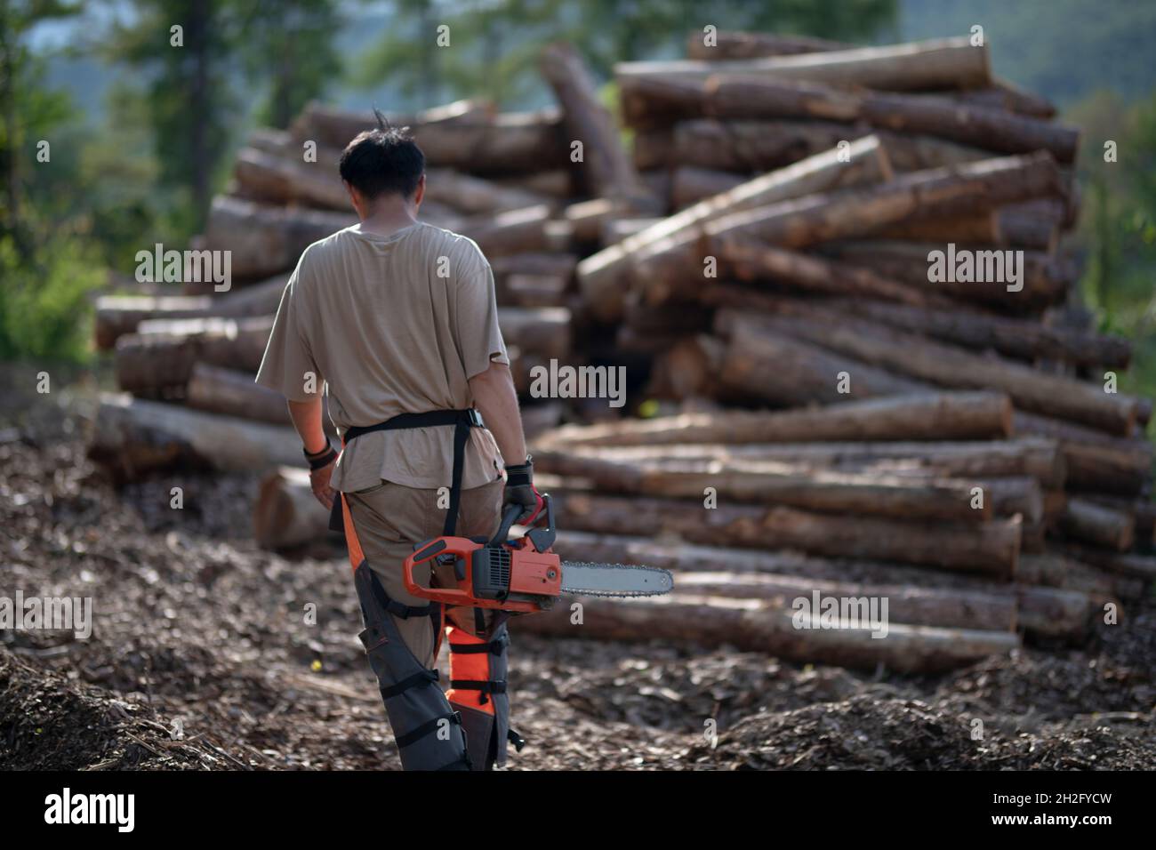 Man Having Chain Saw Stock Photo - Alamy