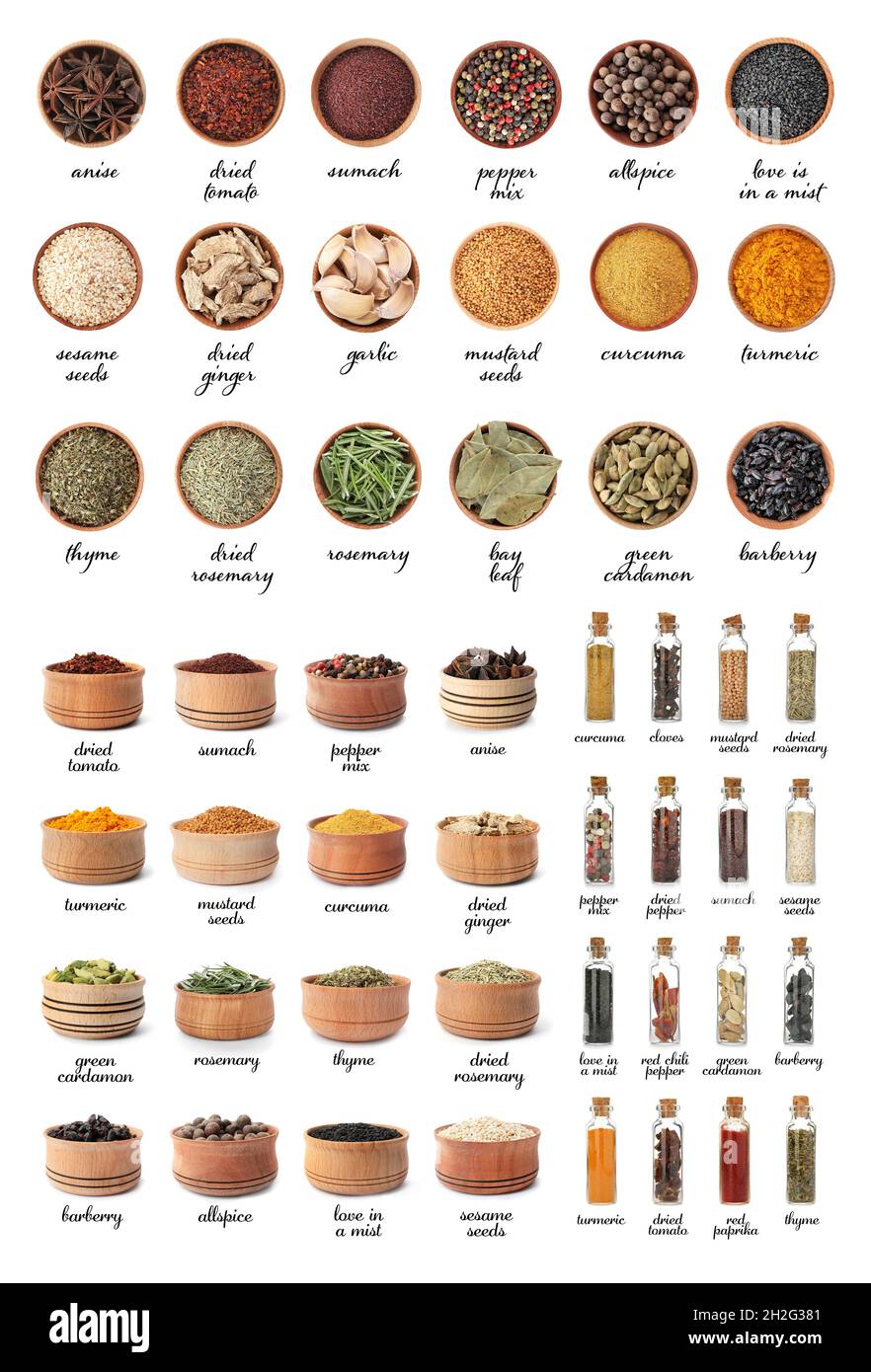 Different spices and herbs on white background. Large collection with names  Stock Photo - Alamy