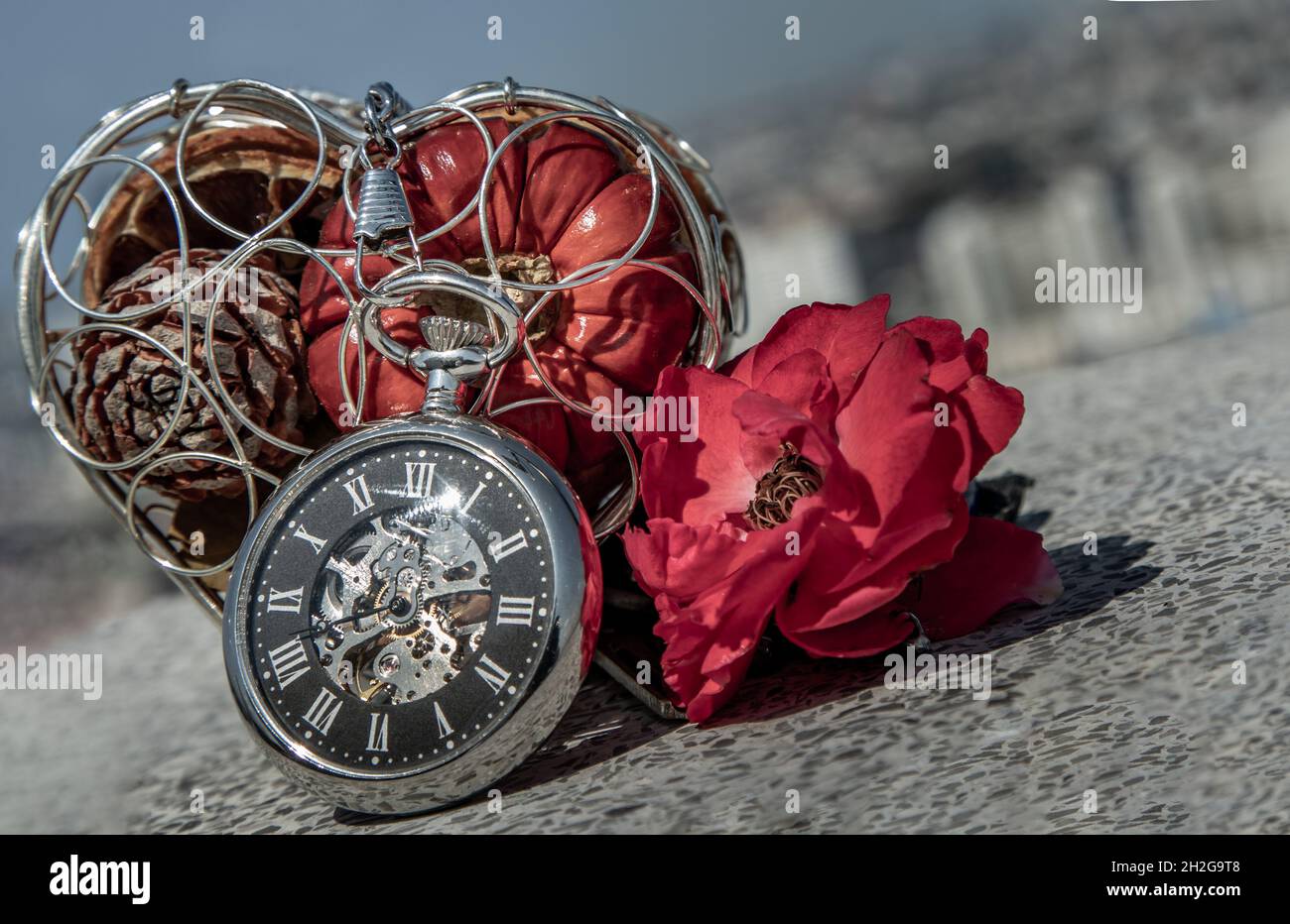 Rojas pocket watch best sale