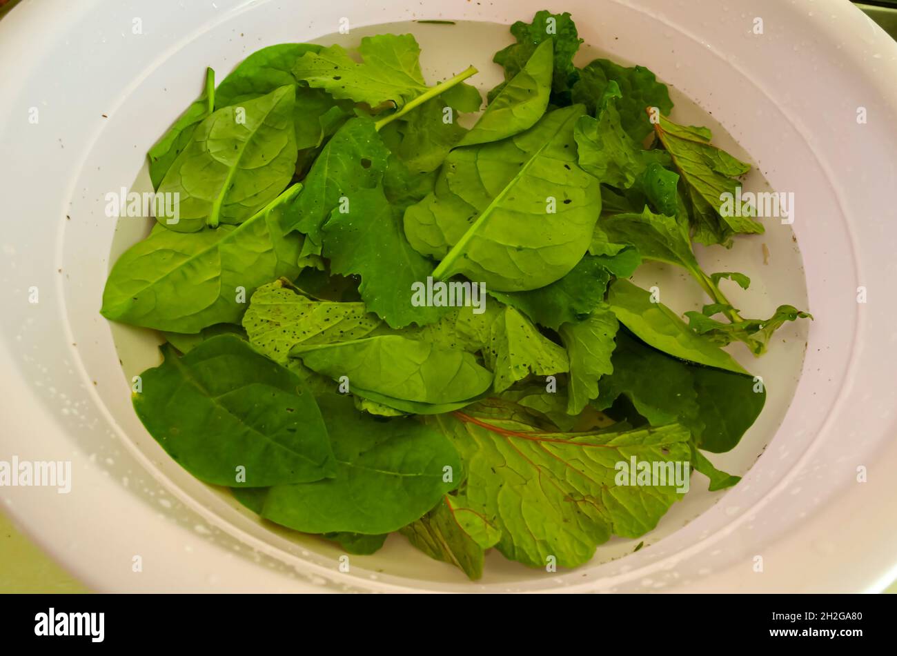 Green Leafy Vegetables In Salted Water Stock Photo Alamy