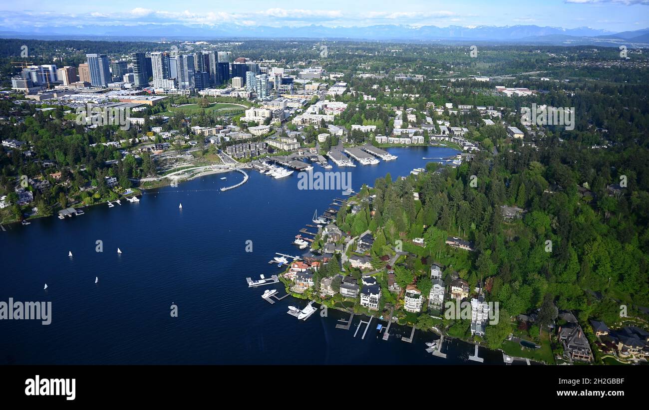 Navigating the Tech Transition in Seattle