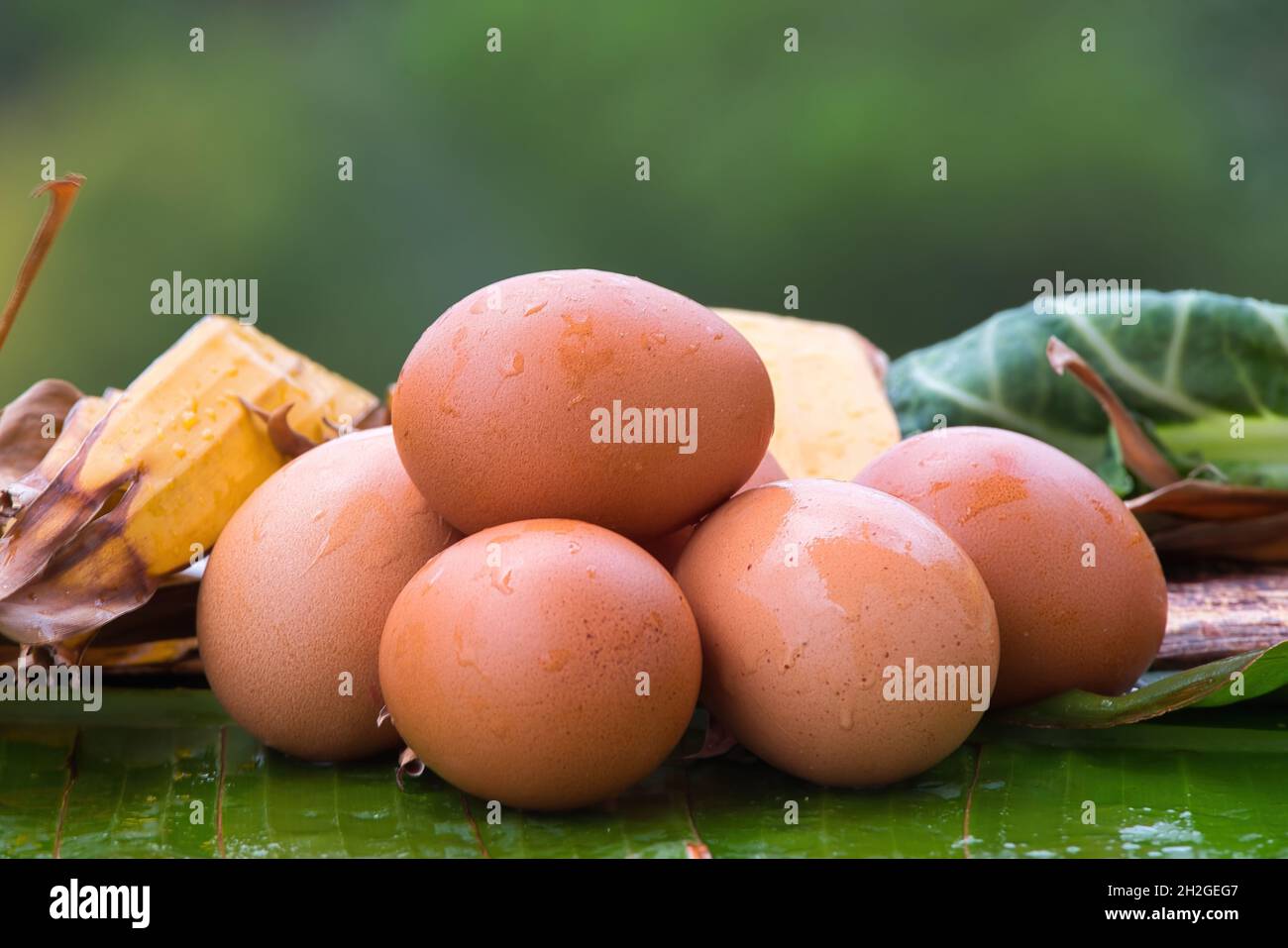Fresh chicken eggs from nest, pile of brown eggs in nest on farm Stock ...