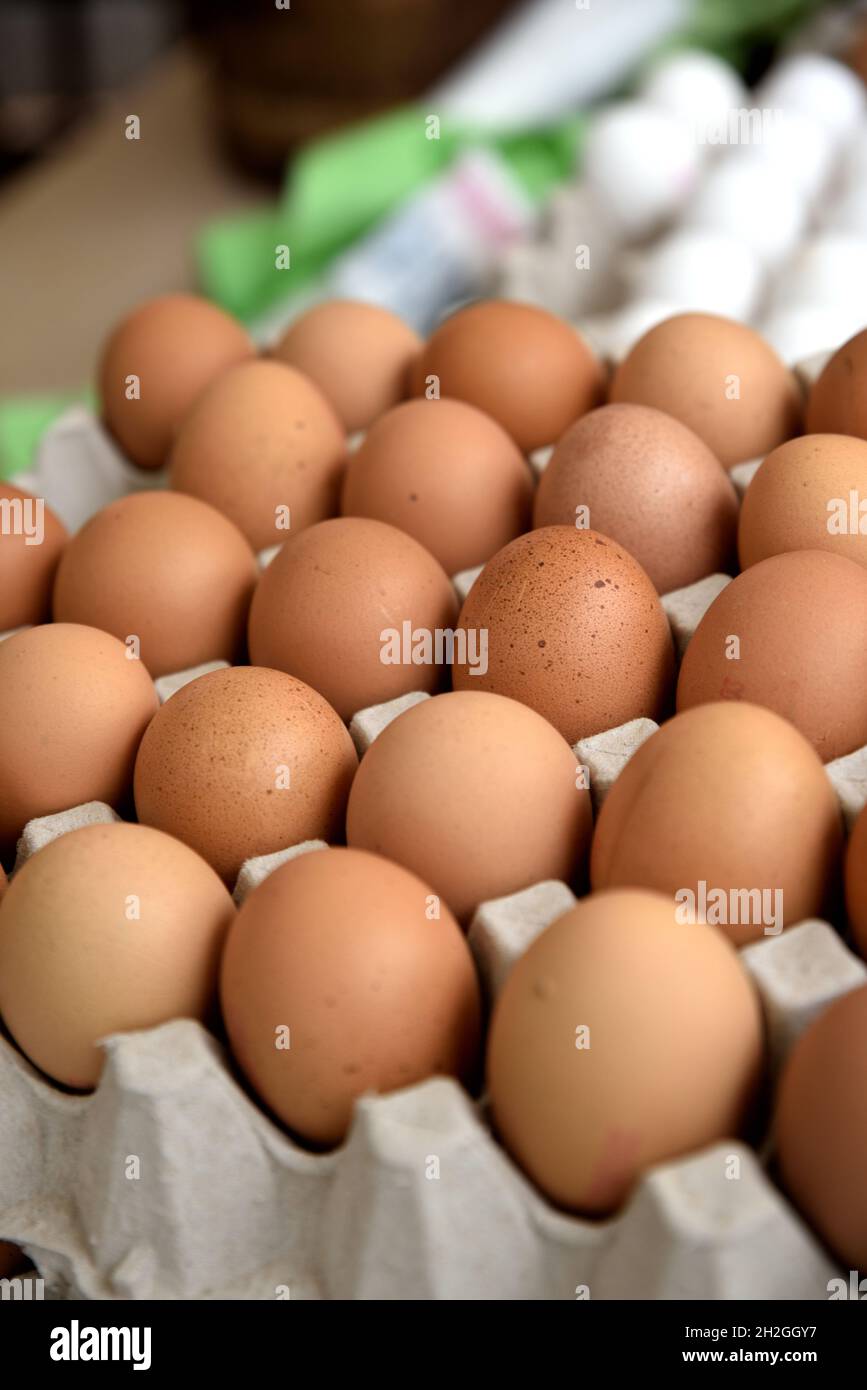 Cardboard egg boxes with chicken eggs Stock Photo Alamy