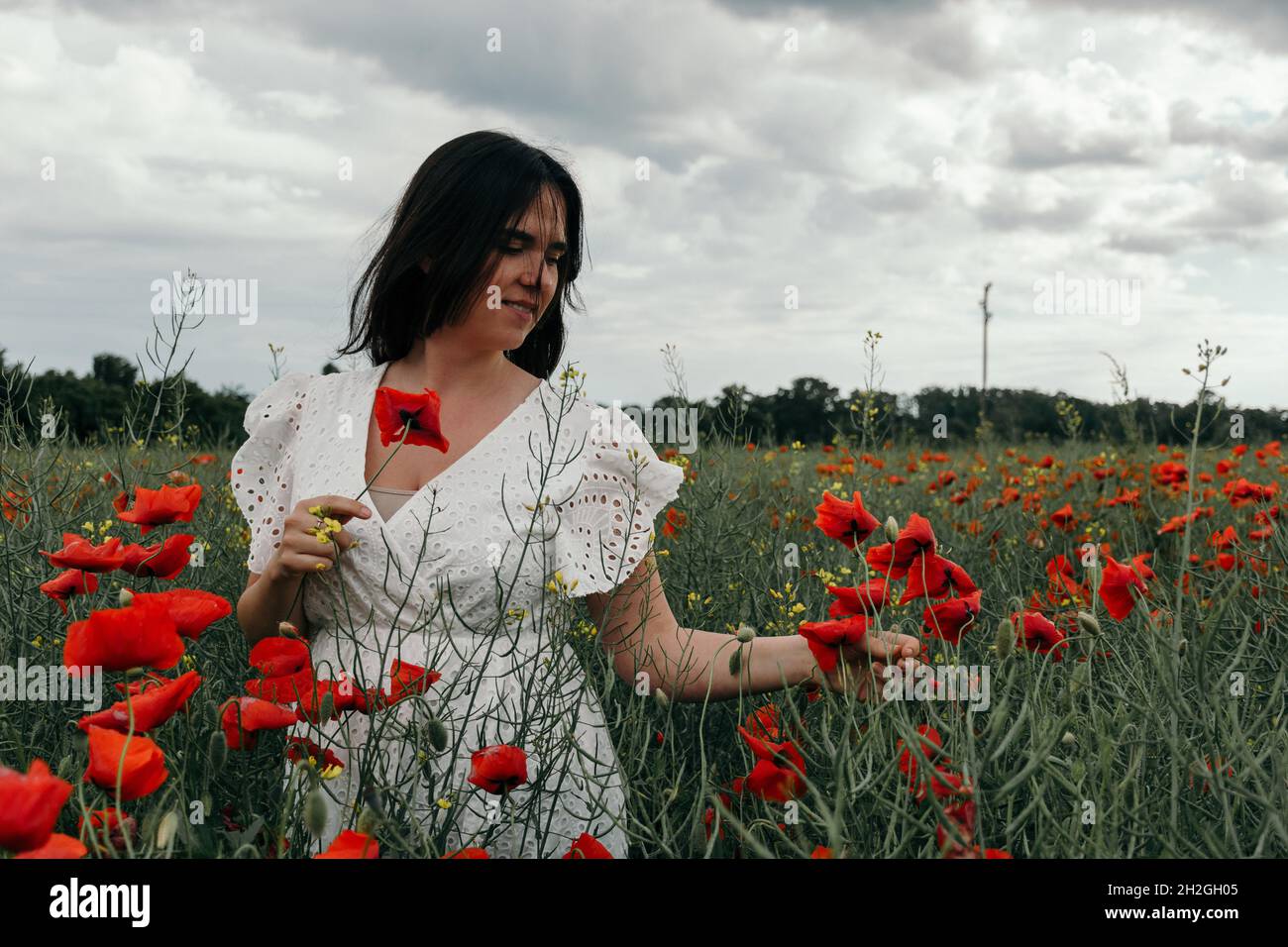 Woman in poppy field hi-res stock photography and images - Alamy