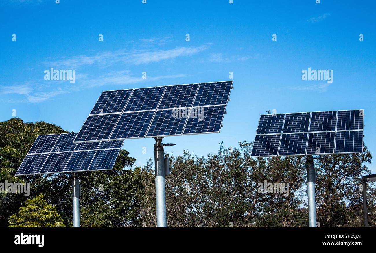 Solar panels green energy set on poles against blue sky with trees in background Stock Photo
