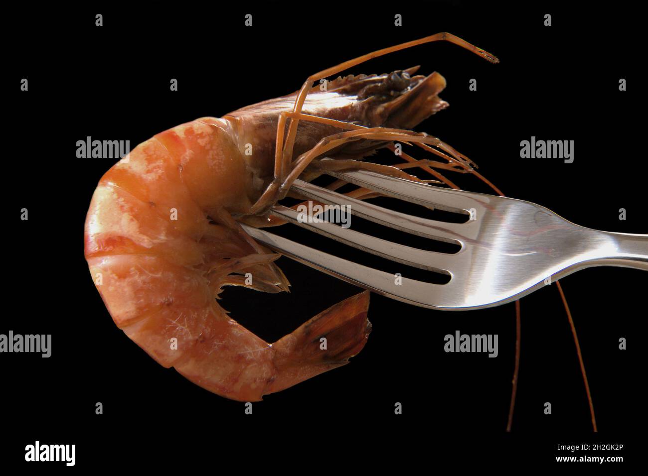Shrimp on a fork against a black background Stock Photo