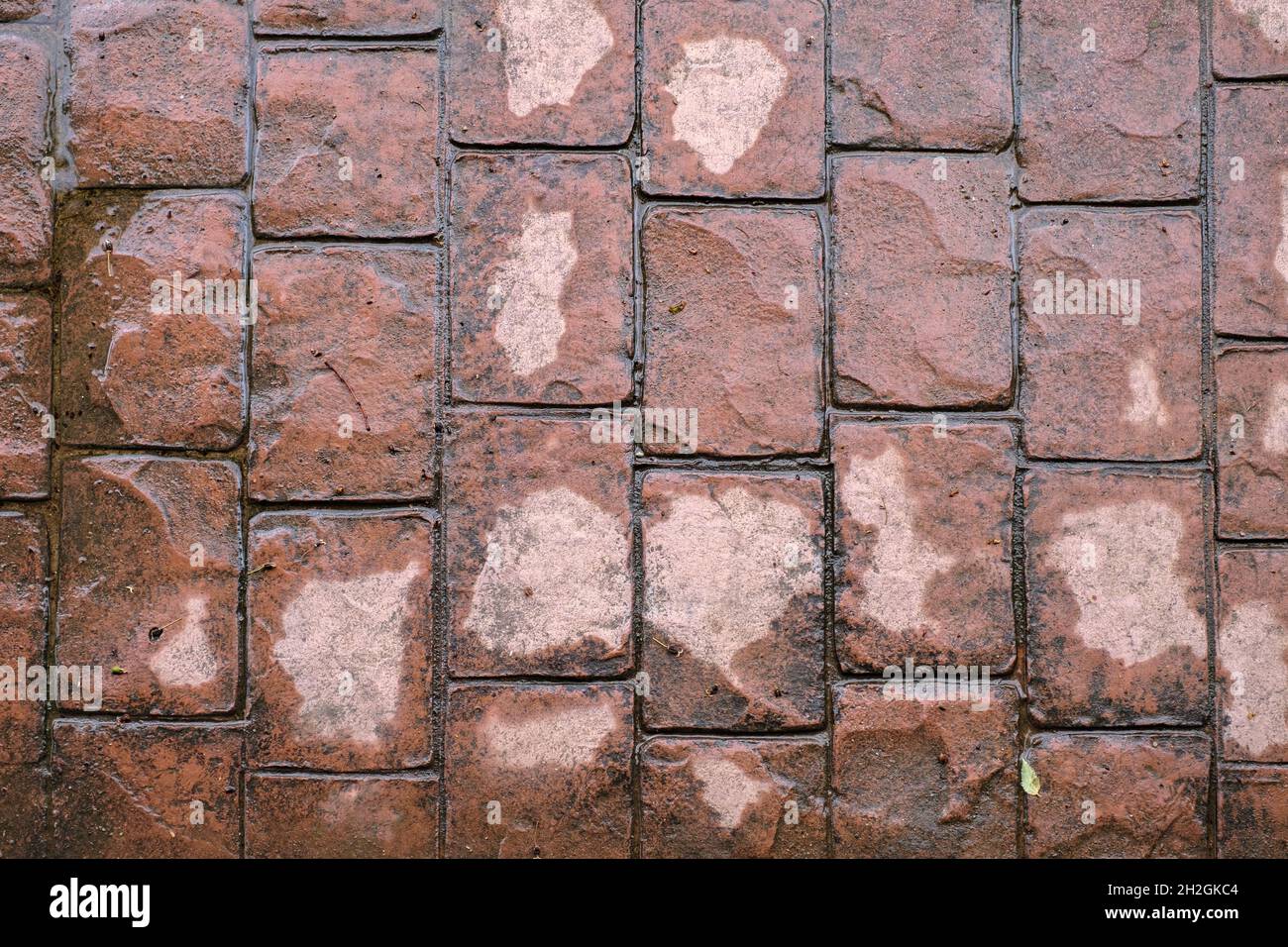 Wet stamped concrete pavement floor after rain, waterproof outdoor