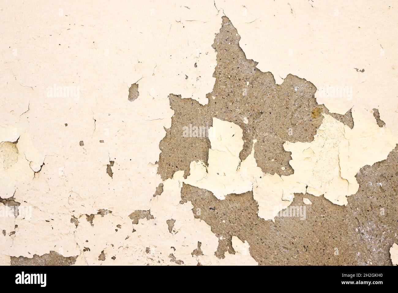 Wall paint peeling off due to moisture problems on wallcovering, need