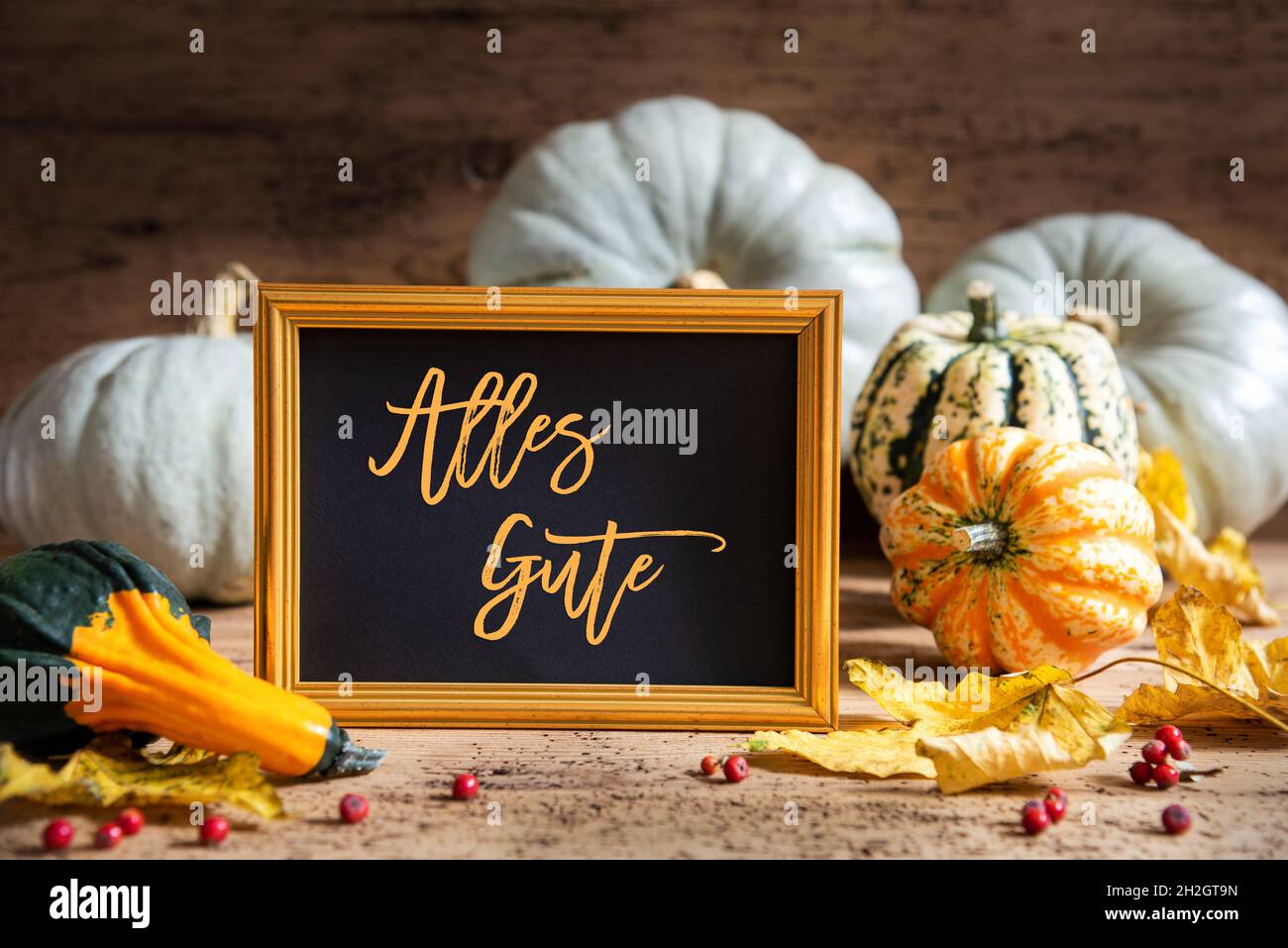 Autumn Pumpkin Decoration, Text Alles Gute Means Best Wishes, Golden Frame Stock Photo