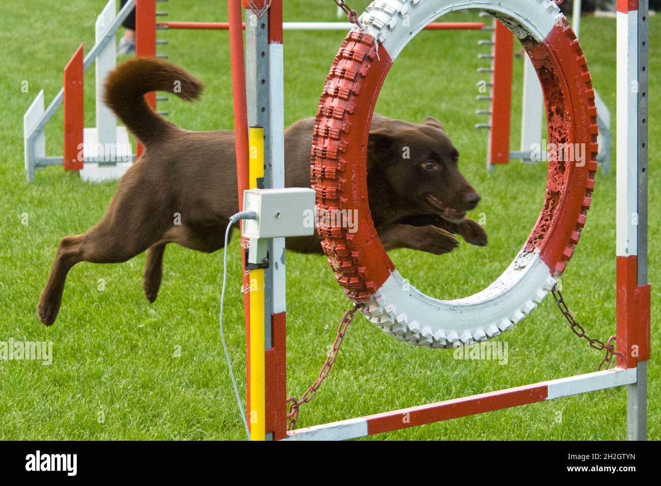 Tyre obstacle course hi-res stock photography and images - Alamy