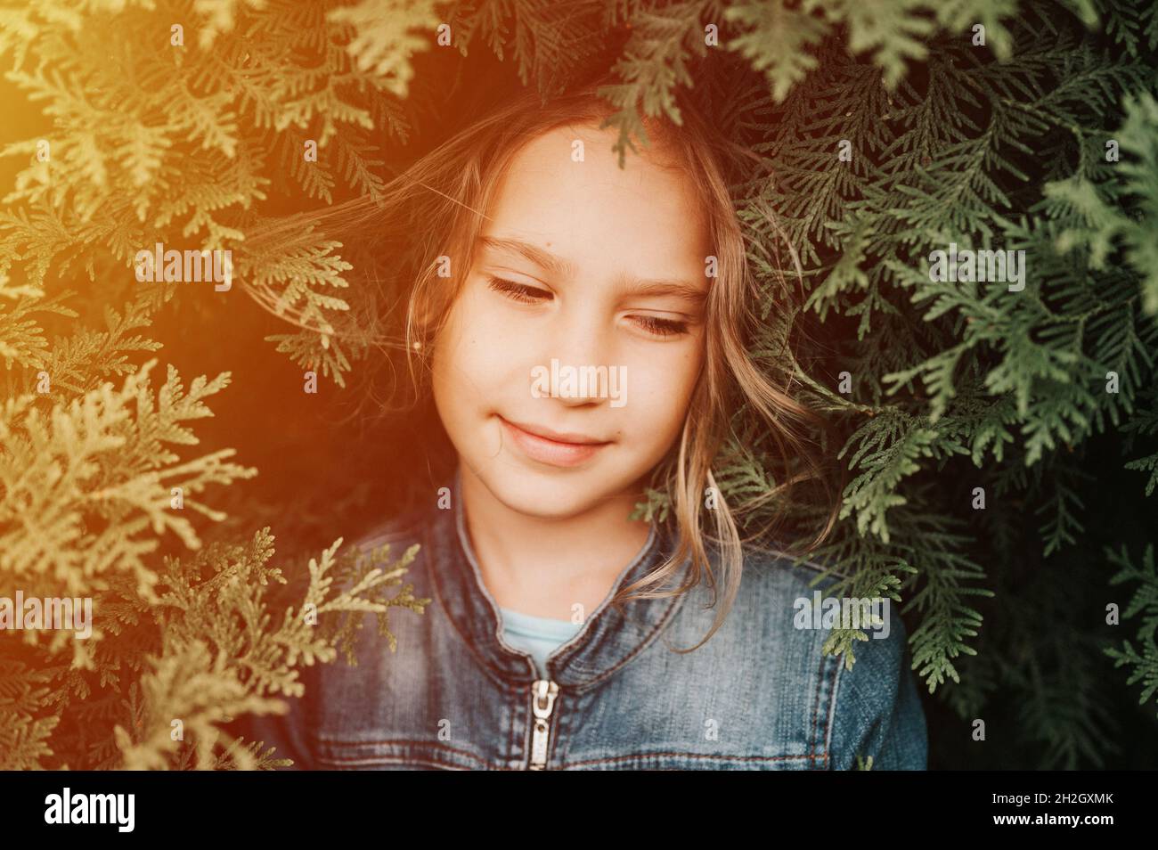 portrait of the face of a cute happy caucasian candid healthy eight year old kid girl surrounded by branches and leaves of green plant thuja or cypres Stock Photo