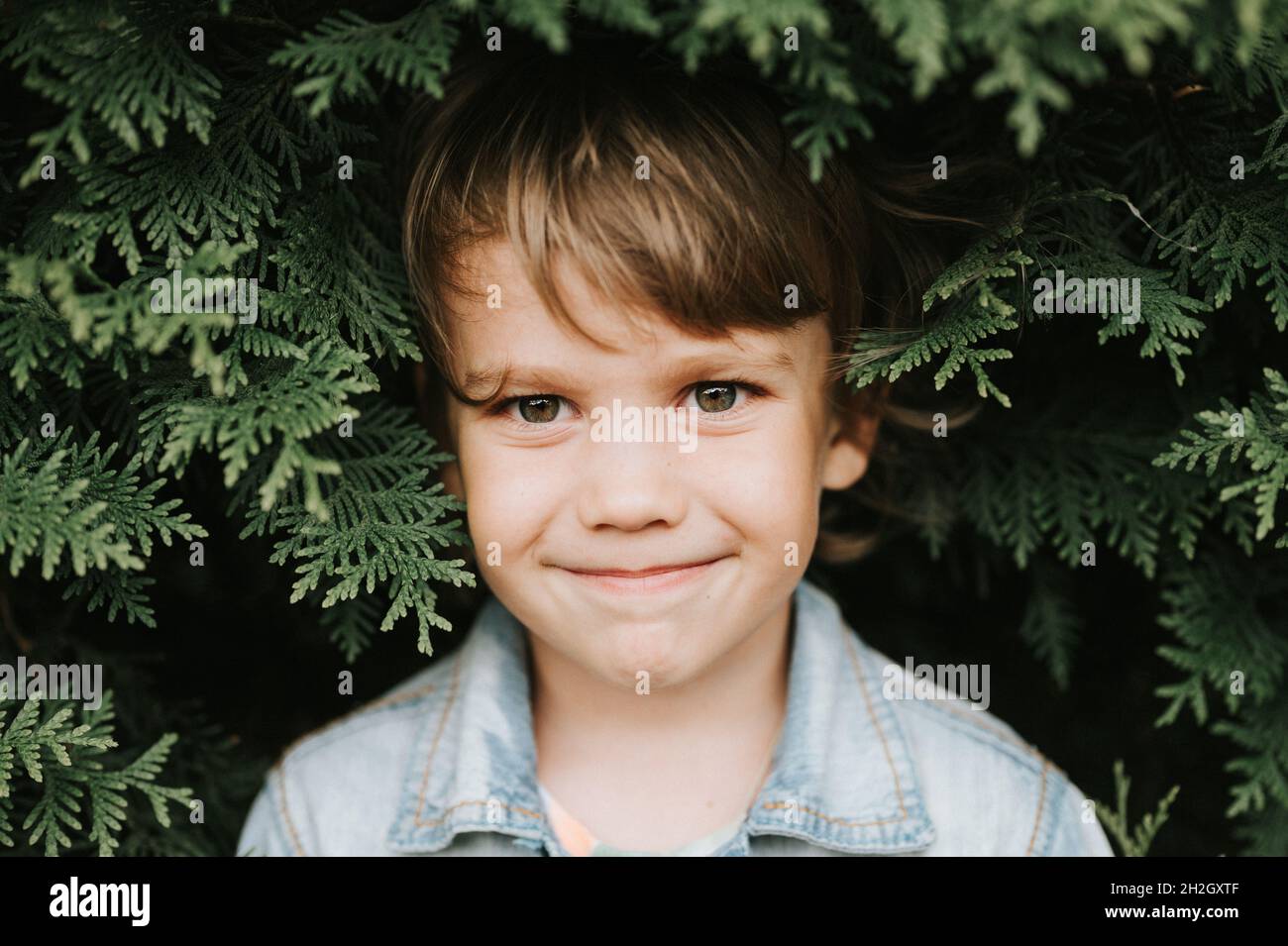 portrait of the face of a cute little happy caucasian candid healthy five year old kid boy surrounded by branches and leaves of green plant thuja or c Stock Photo