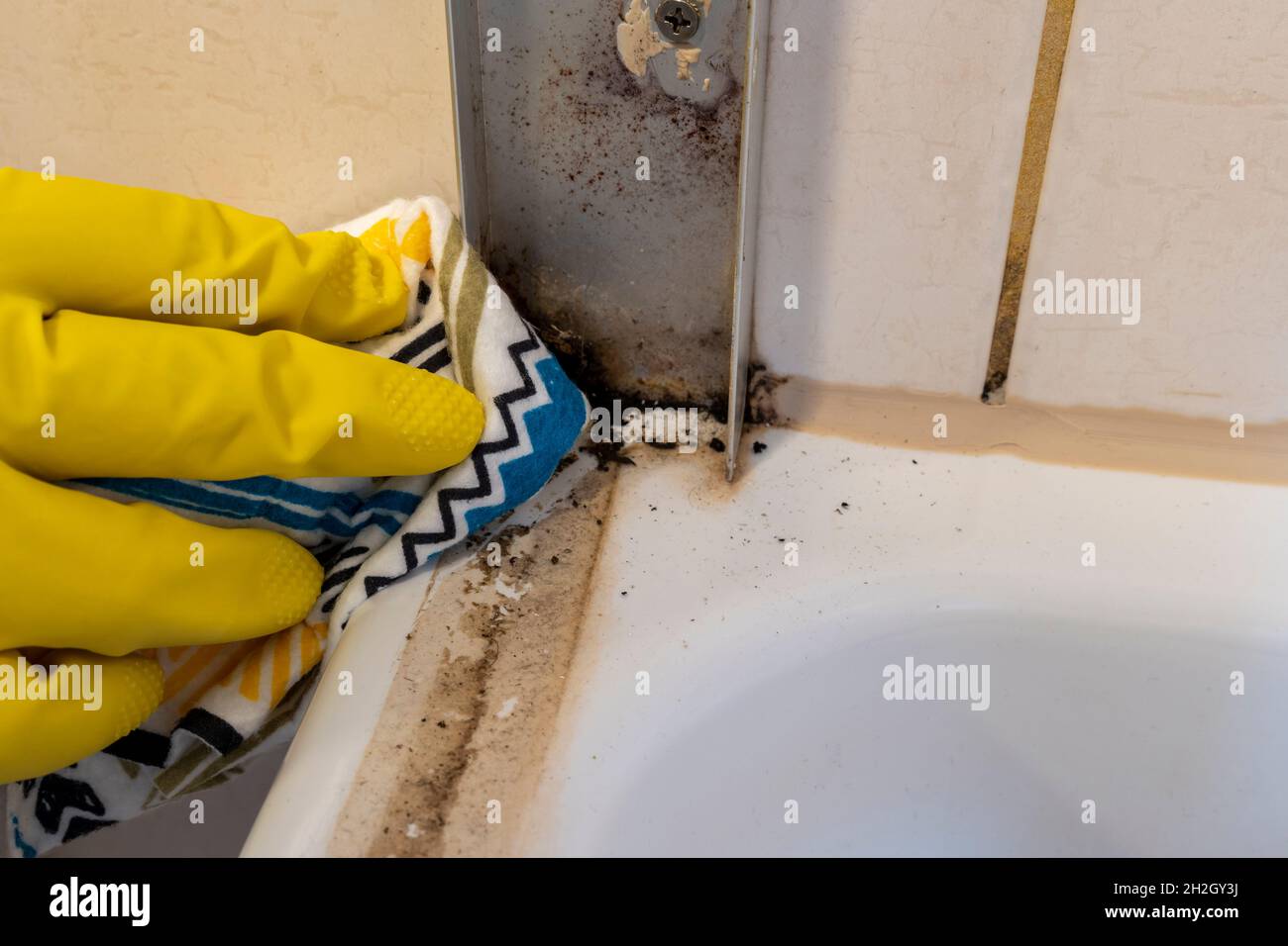 dirty tile cleaning and mold removing from grout Stock Photo Alamy