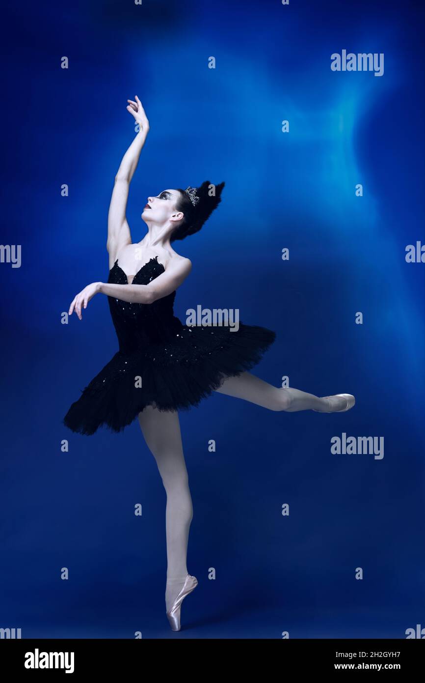 Portrait of young incredibly beautiful woman, ballerina in black ballet outfit, tutu dancing at blue studio full of light. Stock Photo