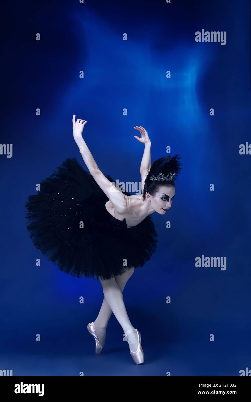 Portrait of young incredibly beautiful woman, ballerina in black ballet outfit, tutu dancing at blue studio full of light. Stock Photo